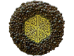 Mandala Seeds