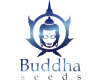 Buddha Seeds