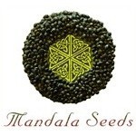 Mandala Seeds